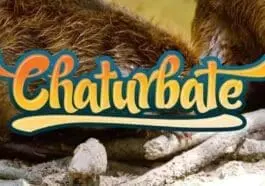 Top 12: Hottest Chaturbate Hairy Cam Girls for Nude Shows (2024)