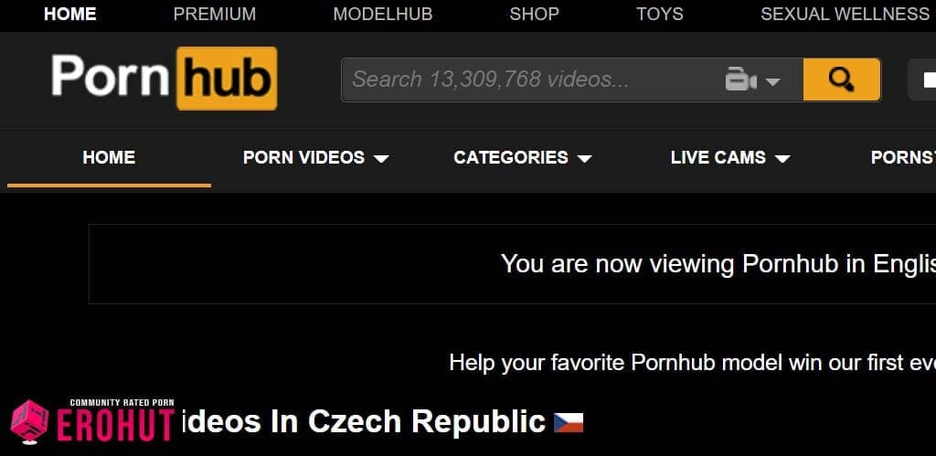 PornHub.com