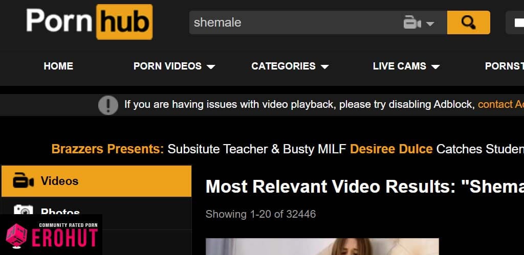 Shemale On Shemale Pornhub - Top 5: The Best Shemale Porn Sites (2019) â€“ EroHut