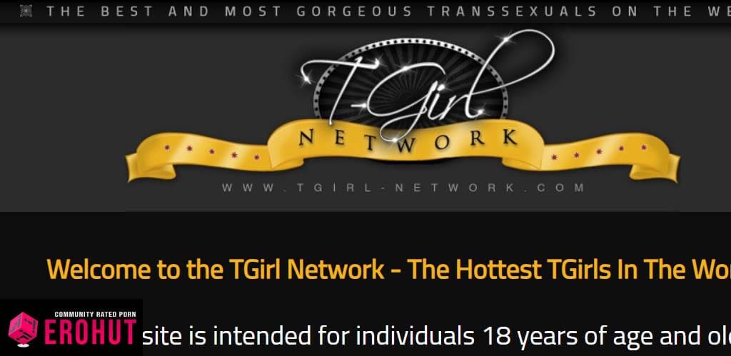 T Girl Porn - Top 5: The Best Shemale Porn Sites (2019) - EroHut