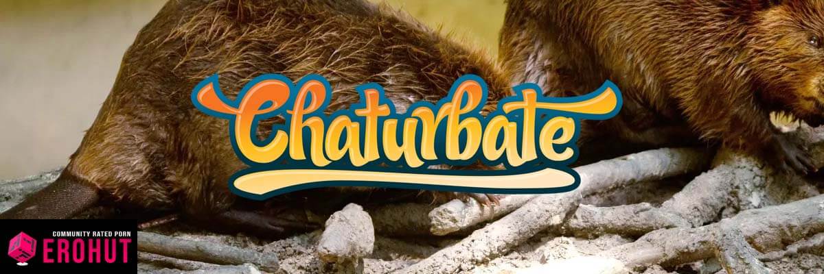 what is chaturbate