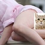 Top 8: Accidental Nude Pussy Celebrity Upskirt Pics (2024)