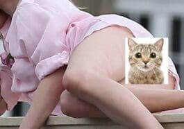 Top 8: Accidental Nude Pussy Celebrity Upskirt Pics (2022)